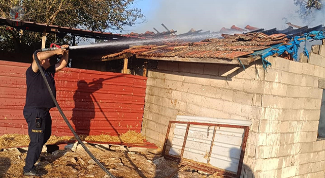 Kumluda samanlık yangını