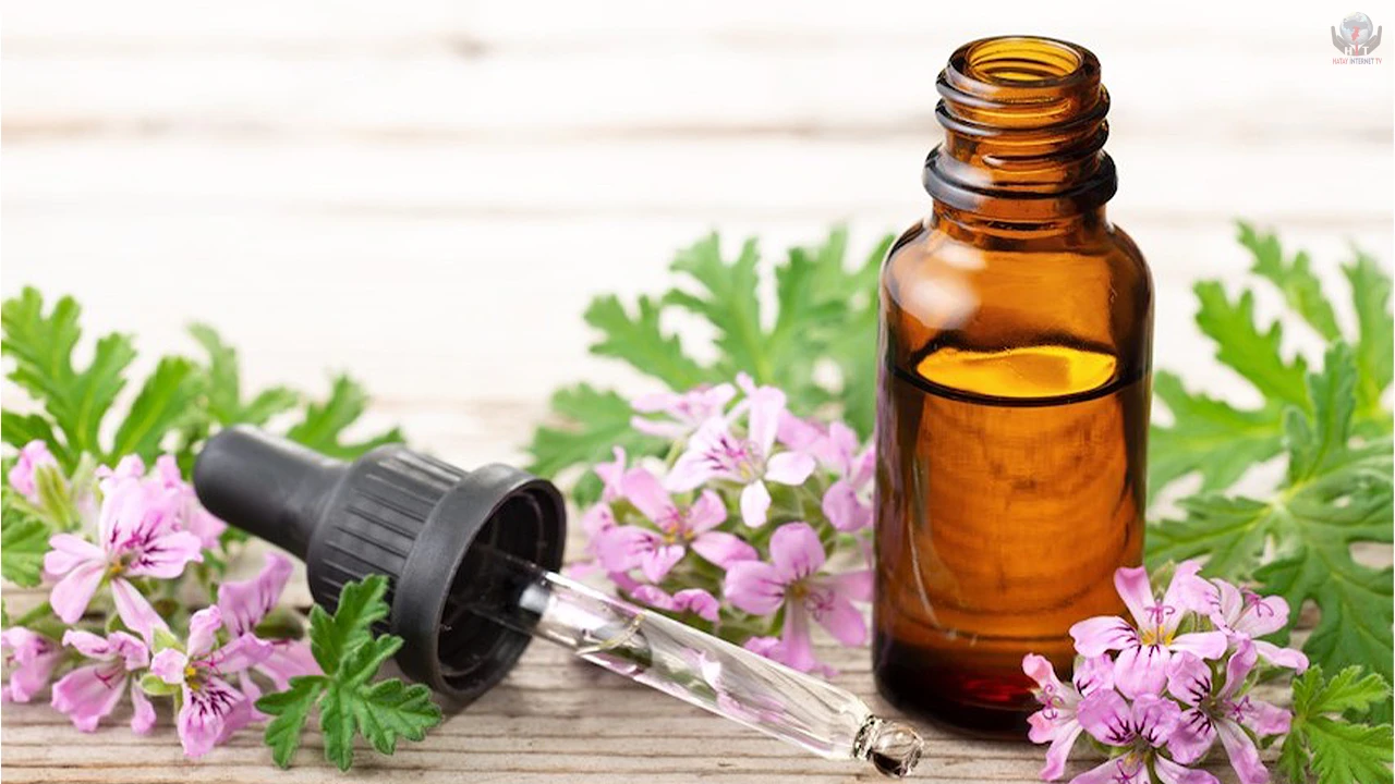 Yapraklarından yayılan kokuyla tanınır, haşereleri uzak tutar...