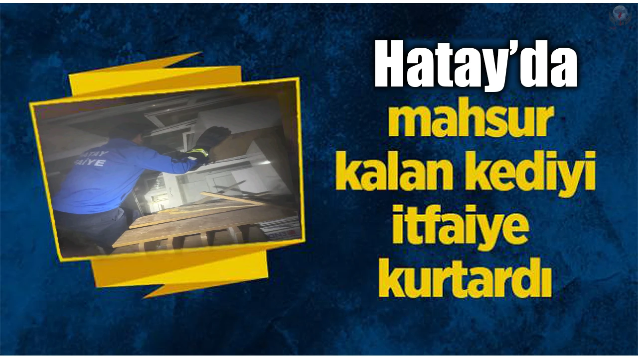 Yayladağında mahsur kalan kediyi itfaiye kurtardı