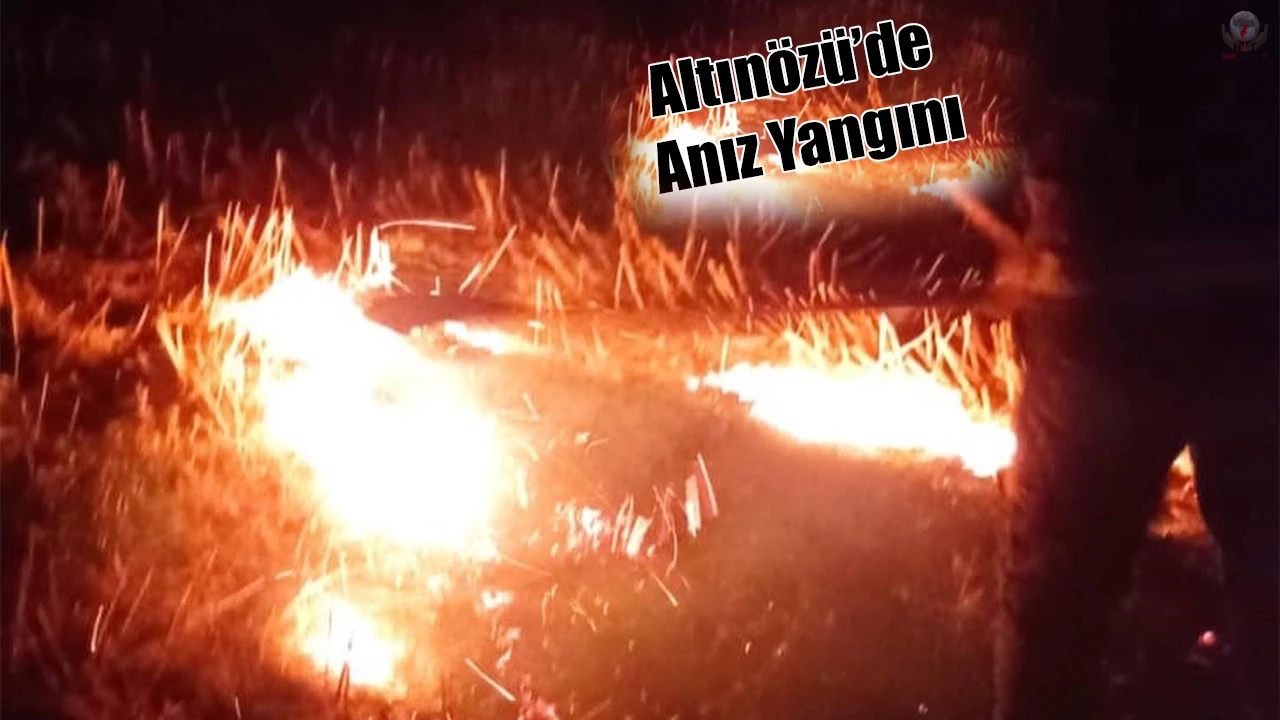 Altınözüde anız yangını