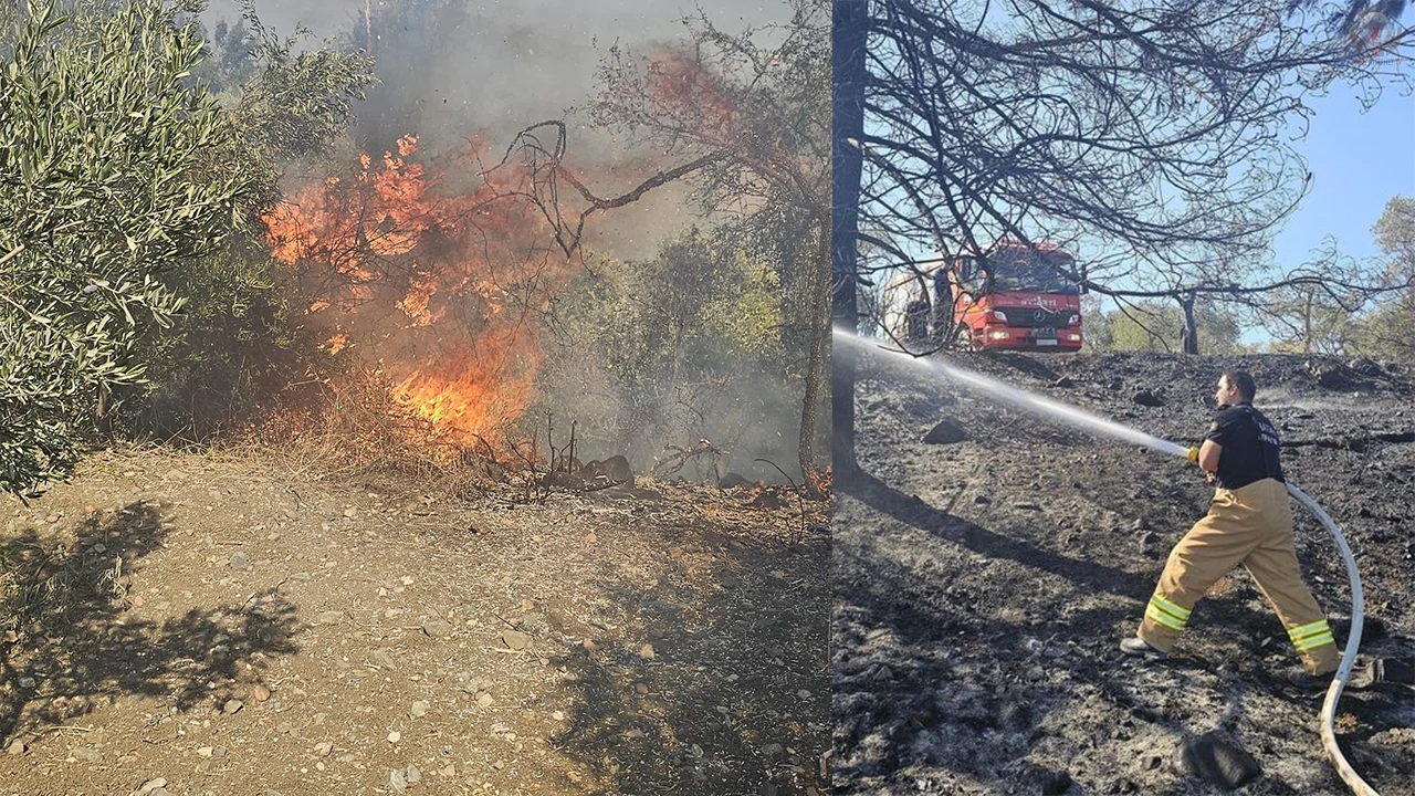 Antakyada bahçe yangını