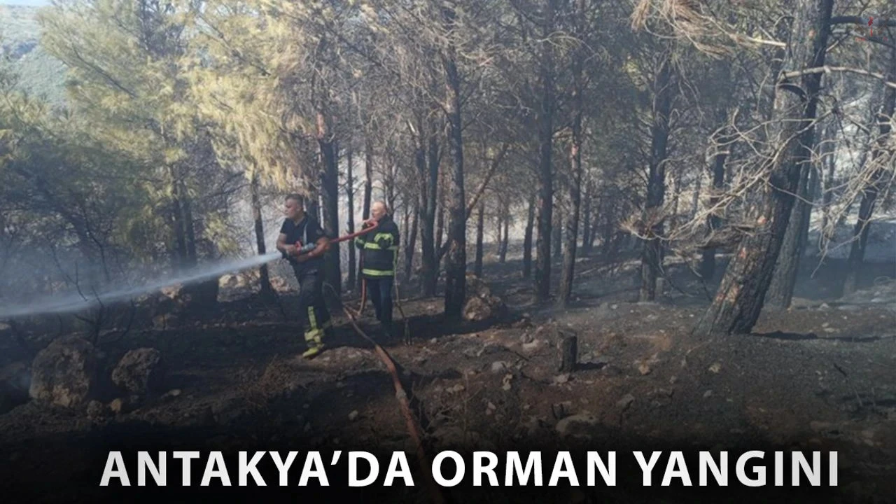 Antakyada orman yangını