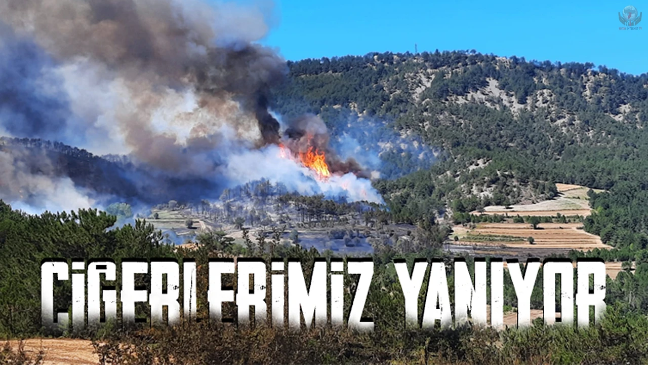 Antakyada ormanlık alanda yangın