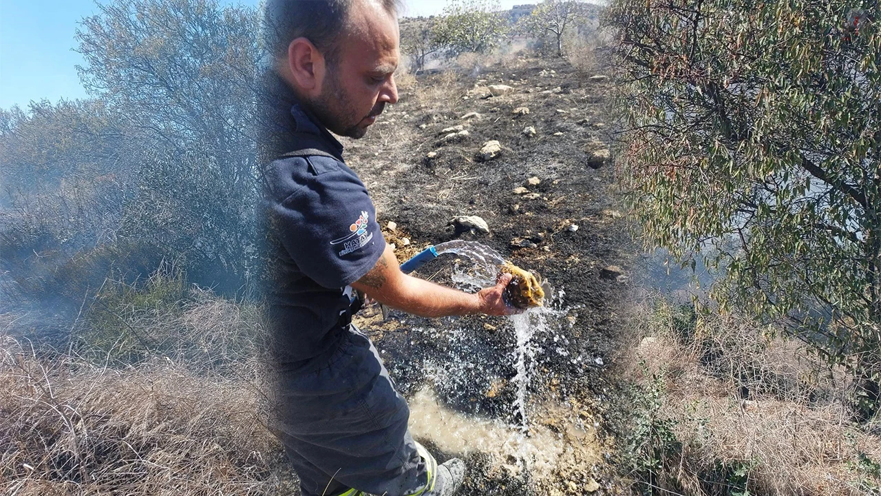 İtfaiyeciden yangının içinde kalan kaplumbağaya can suyu