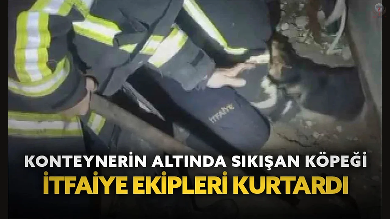 Konteynerin altına sıkışan köpekleri itfaiye kurtardı