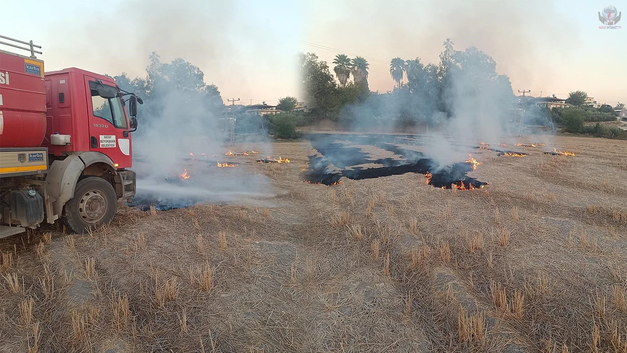 Kumlu’da anız yangını