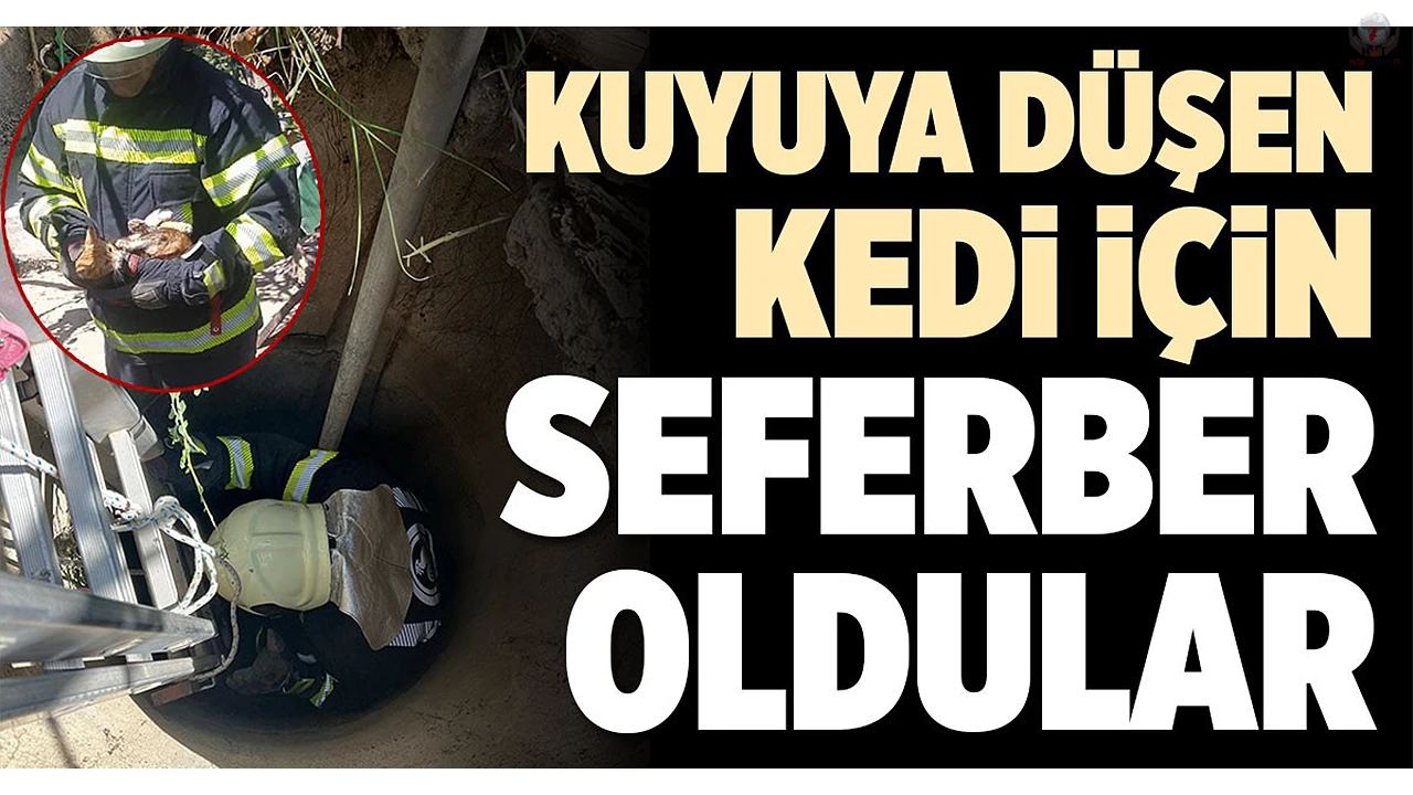 Kuyuya düşen kediyi itfaiye kurtardı