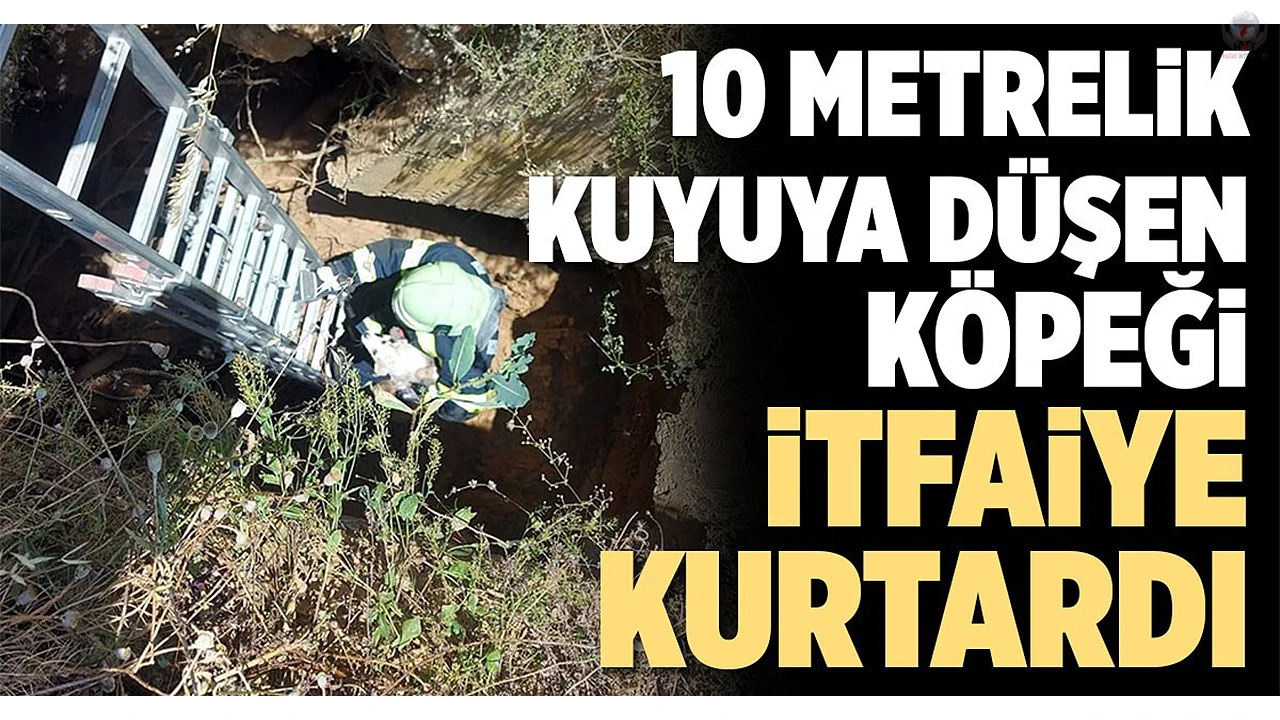 Kuyuya düşen köpeği itfaiye kurtardı