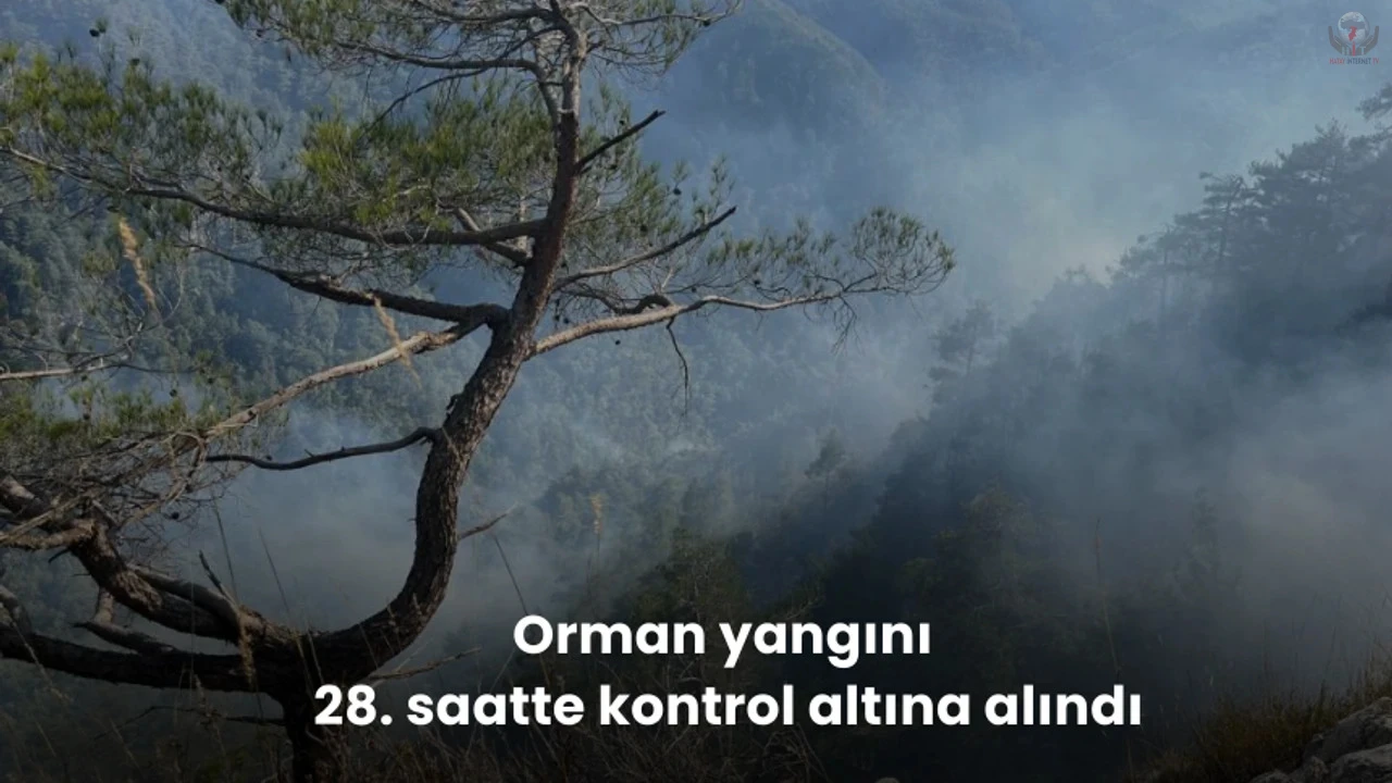 Orman yangını 28. saatte kontrol altına alındı