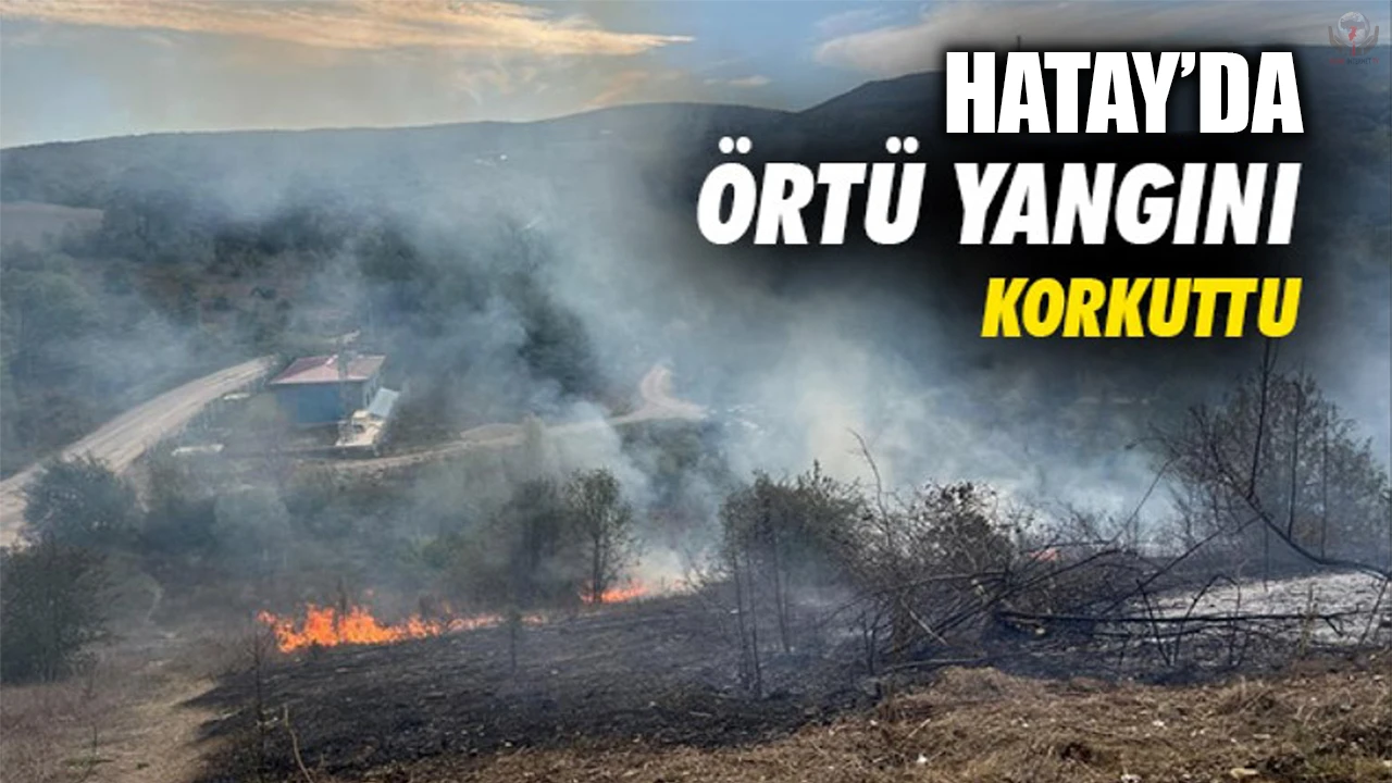 Yayladağında örtü yangını