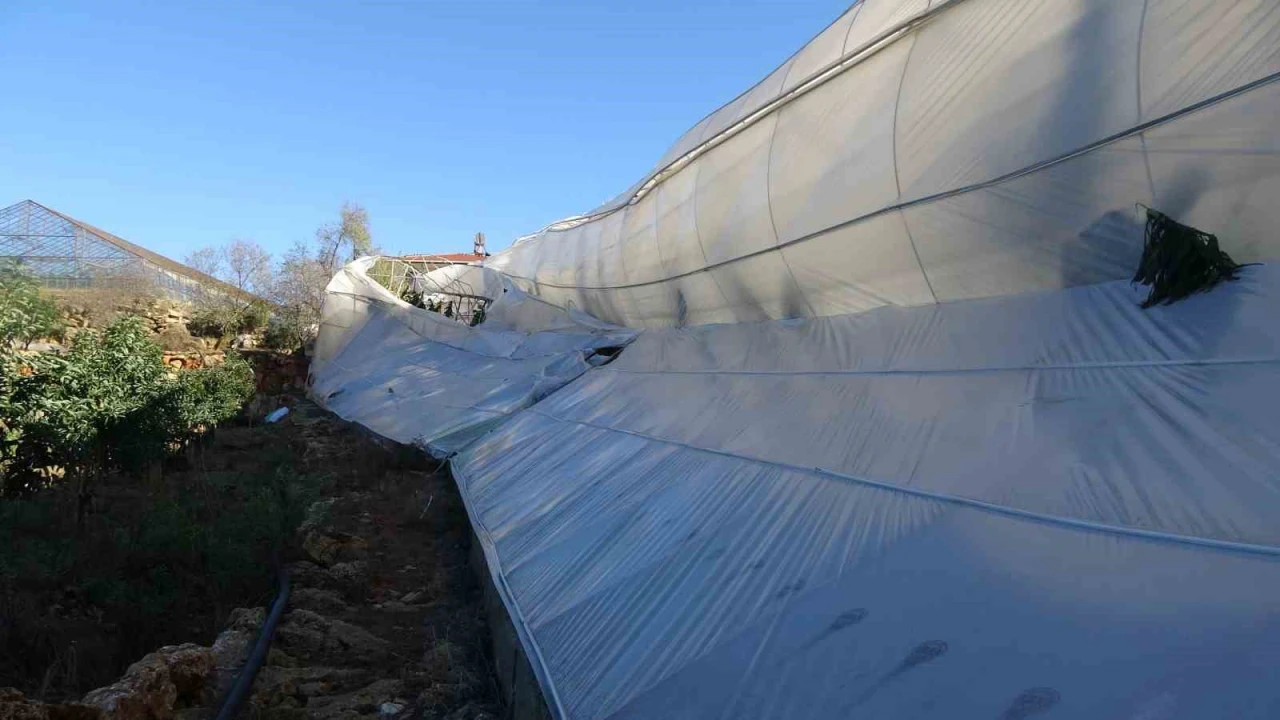 Alanyada sağanak ve fırtına sebze ile meyveleri vurdu