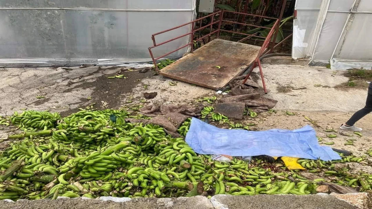 Alanyada seradaki iş kazasıyla ilgili 2 kişi tutuklandı