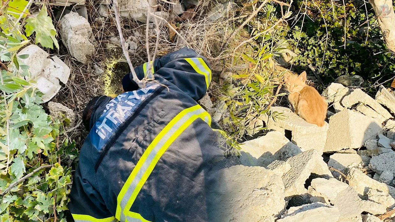 Atık su borusunda mahsur kalan kediyi itfaiye kurtardı