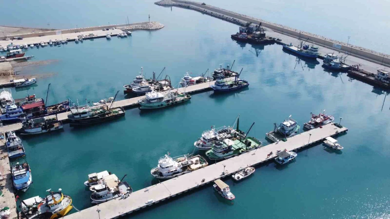 Doğu Akdenizde balık popülasyonu azalıyor