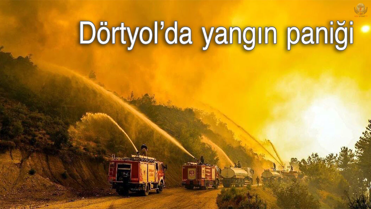 Dörtolda orman yangını