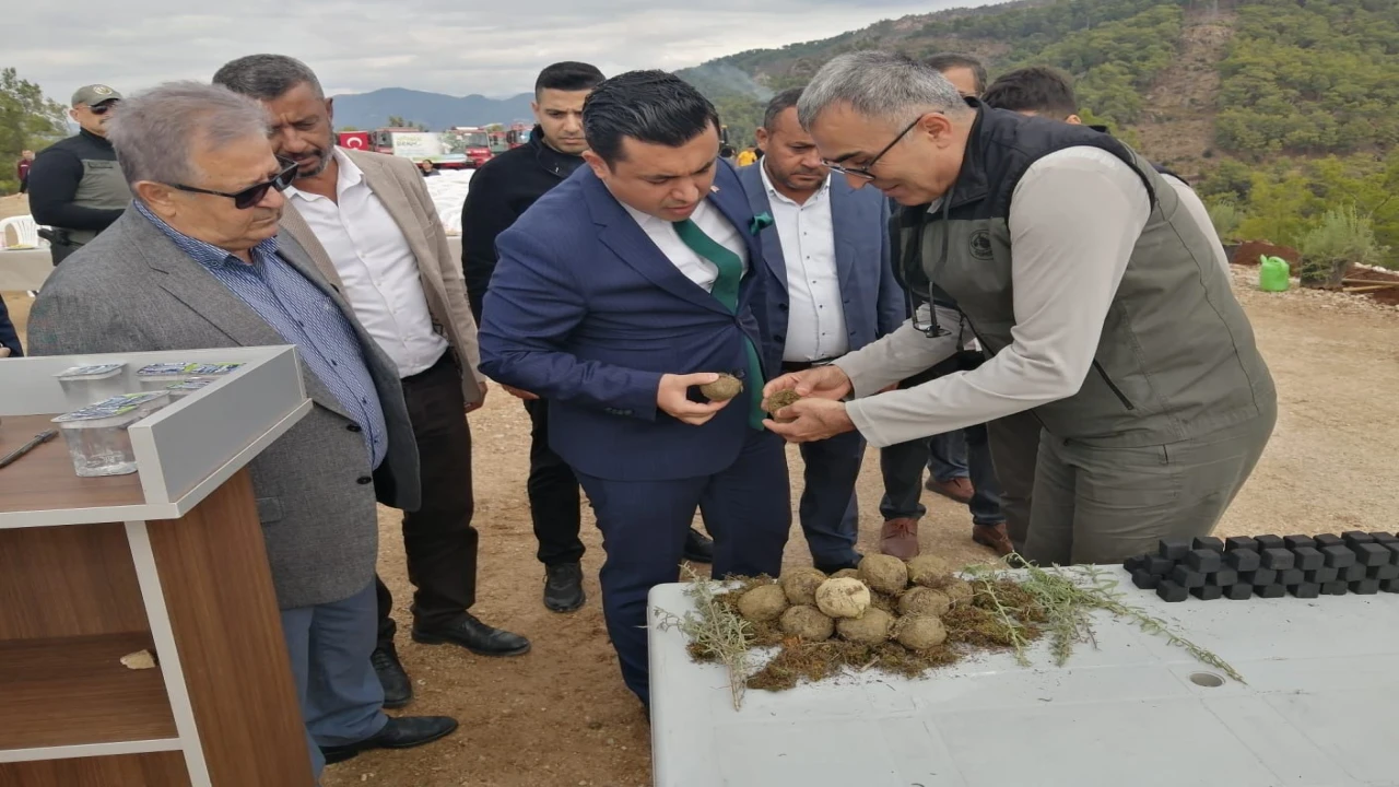 Milli Ağaçlandırma Gününde karbon zengini tohumlar toprakla buluşturuldu