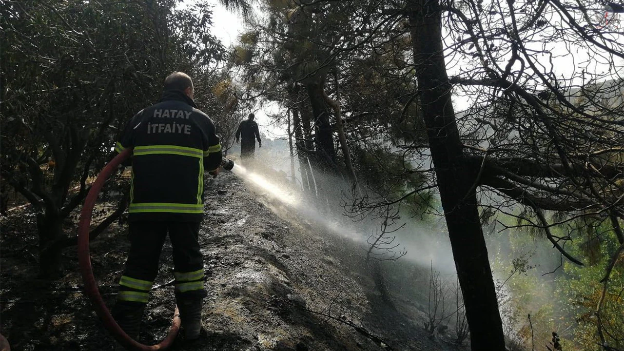 Samandağ’da çıkan orman yangını söndürüldü