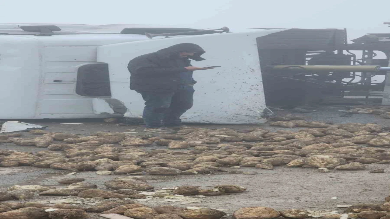 Afşinde pancar yüklü tır devrildi