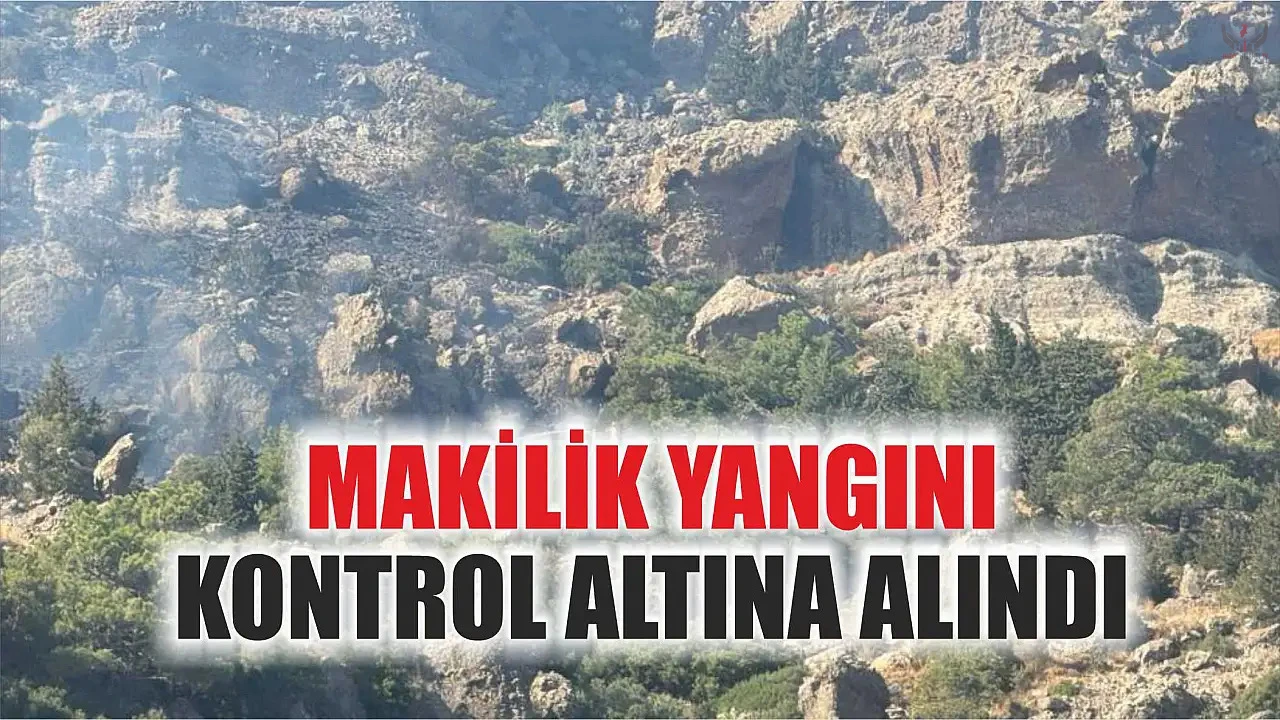 Antakyada makilik yangını