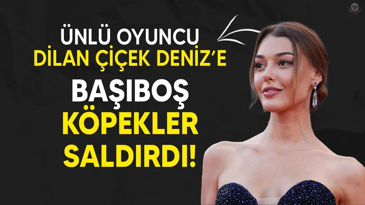 Başıboş köpek saldırısına uğradı