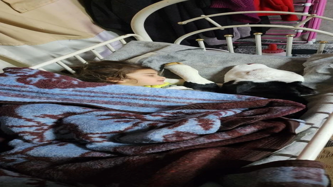 Depremzede aile buzağının hayatını çadırda kurtarıyor