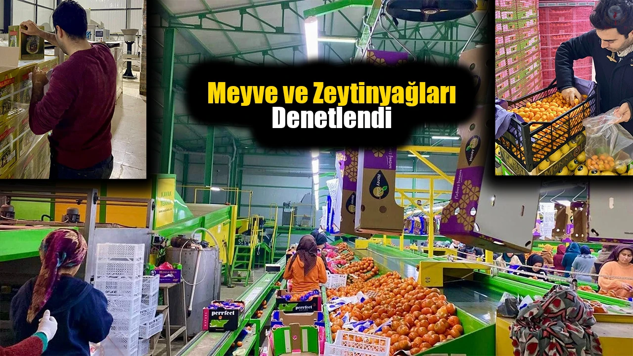 Hatay’dan ihraç edilecek meyve ve zeytinyağları denetlendi