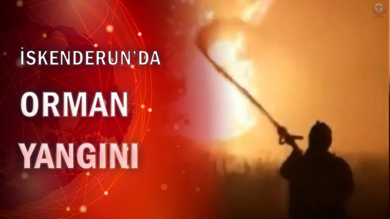 İskenderunda ormanlık alanda yangın