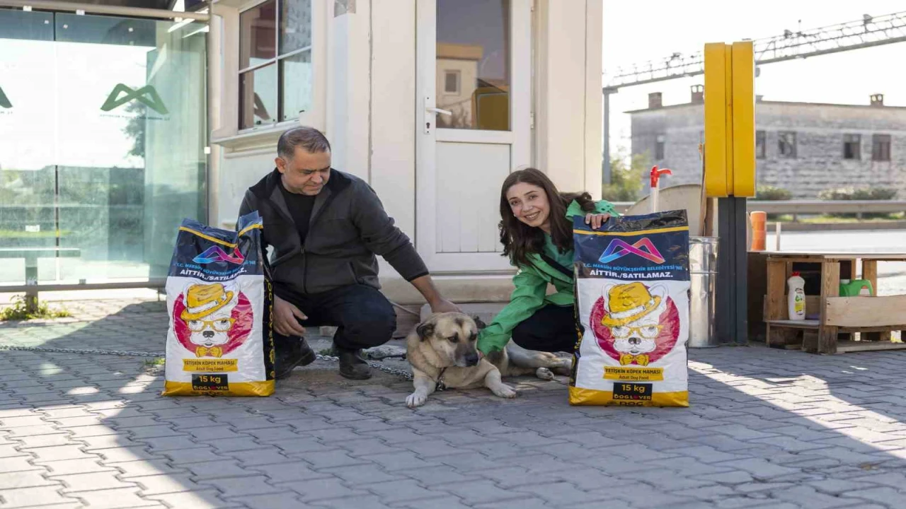 Mersinde Yaşamı Sahiplen Destek Büyükşehirden kampanyasında 407 hayvan sahiplendirildi