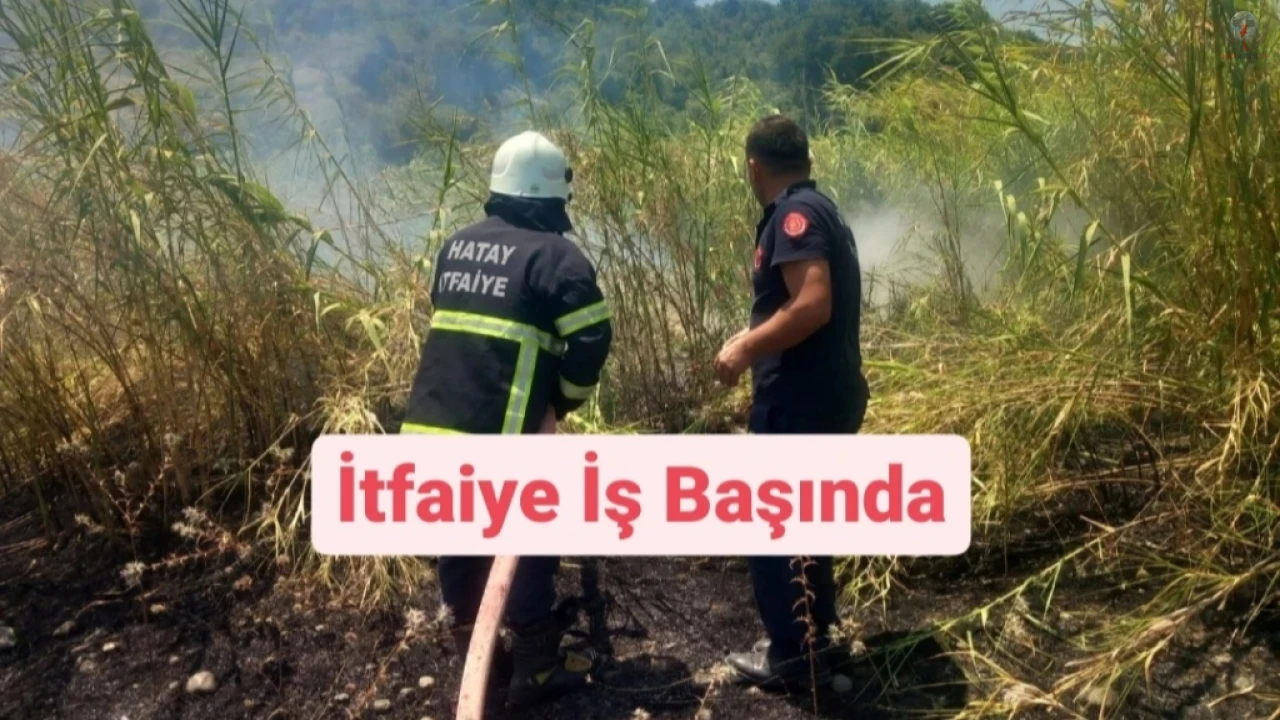 Samandağda kamışlık alanda çıkan yangın söndürüldü