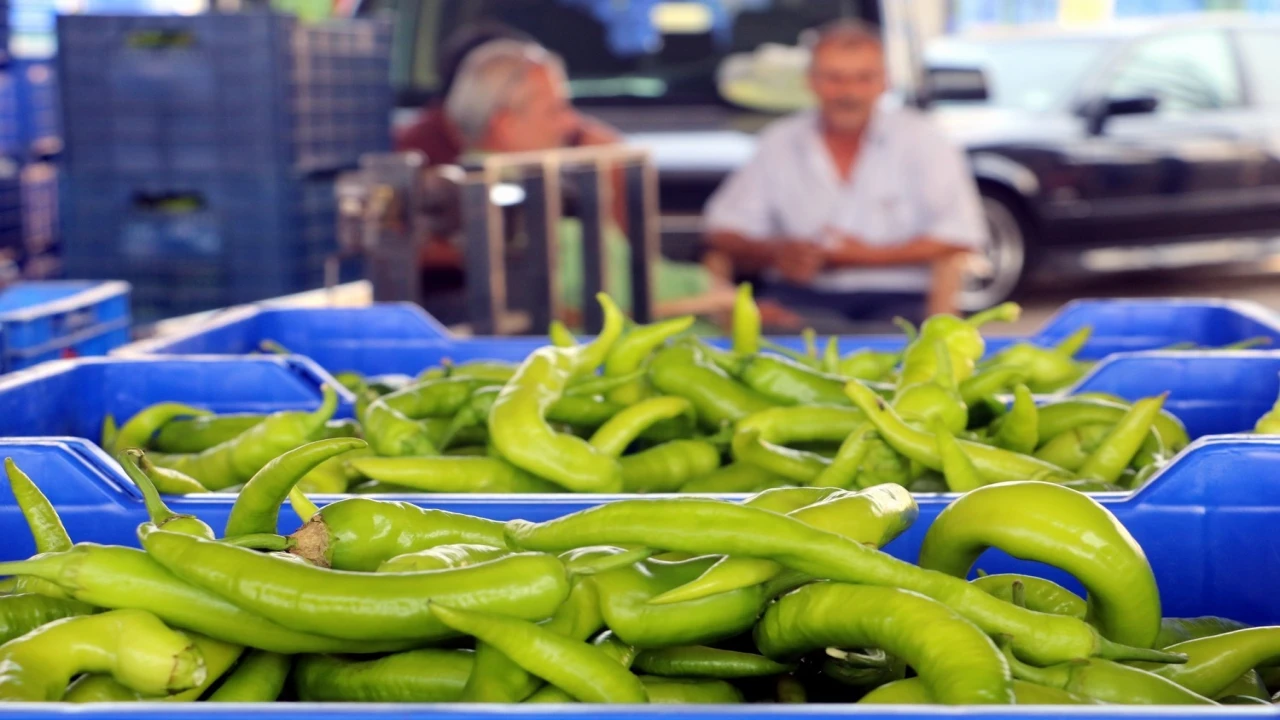 Antalyada 2024te üretilen sebze miktarı yüzde 20 düştü