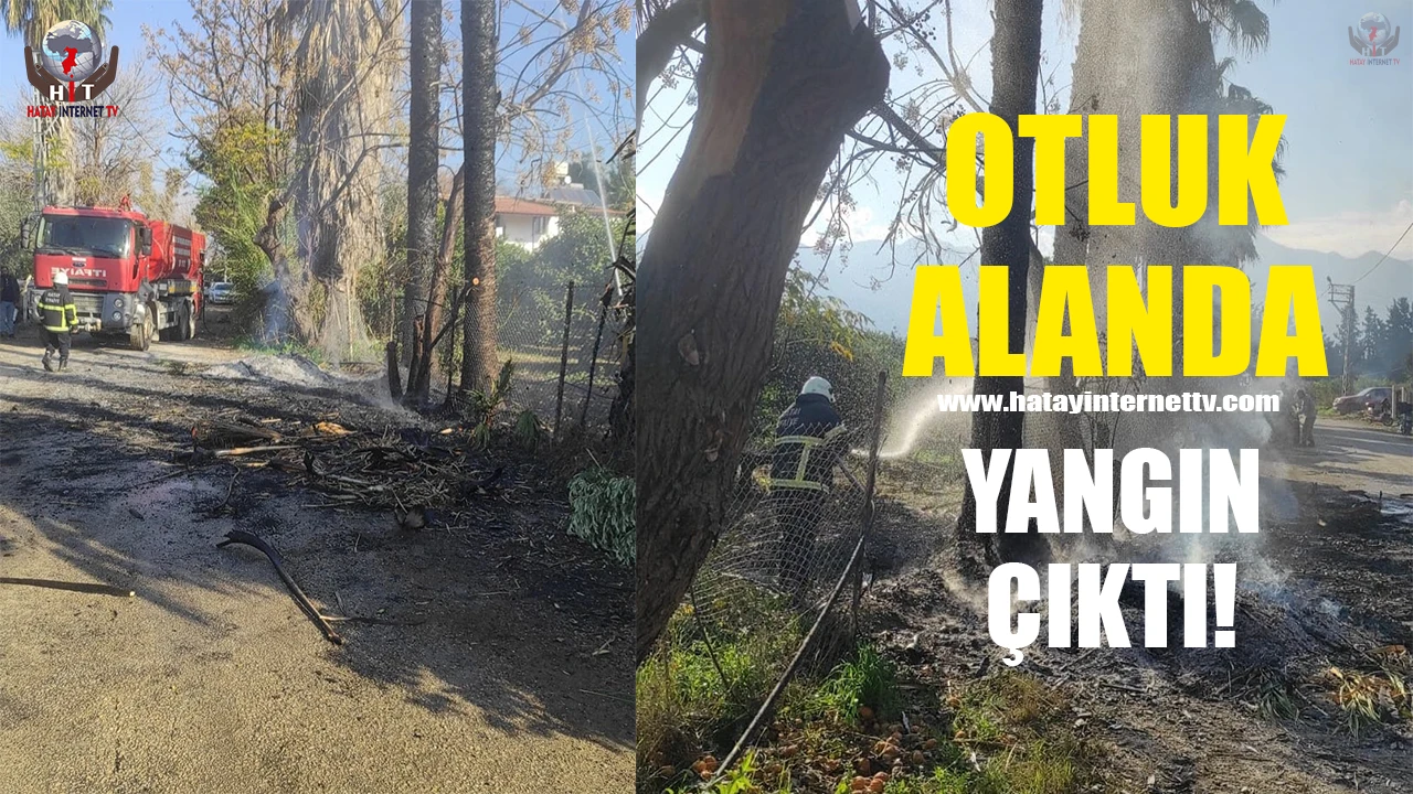 Arsuzda çıkan otluk yangınını itfaiye söndürdü