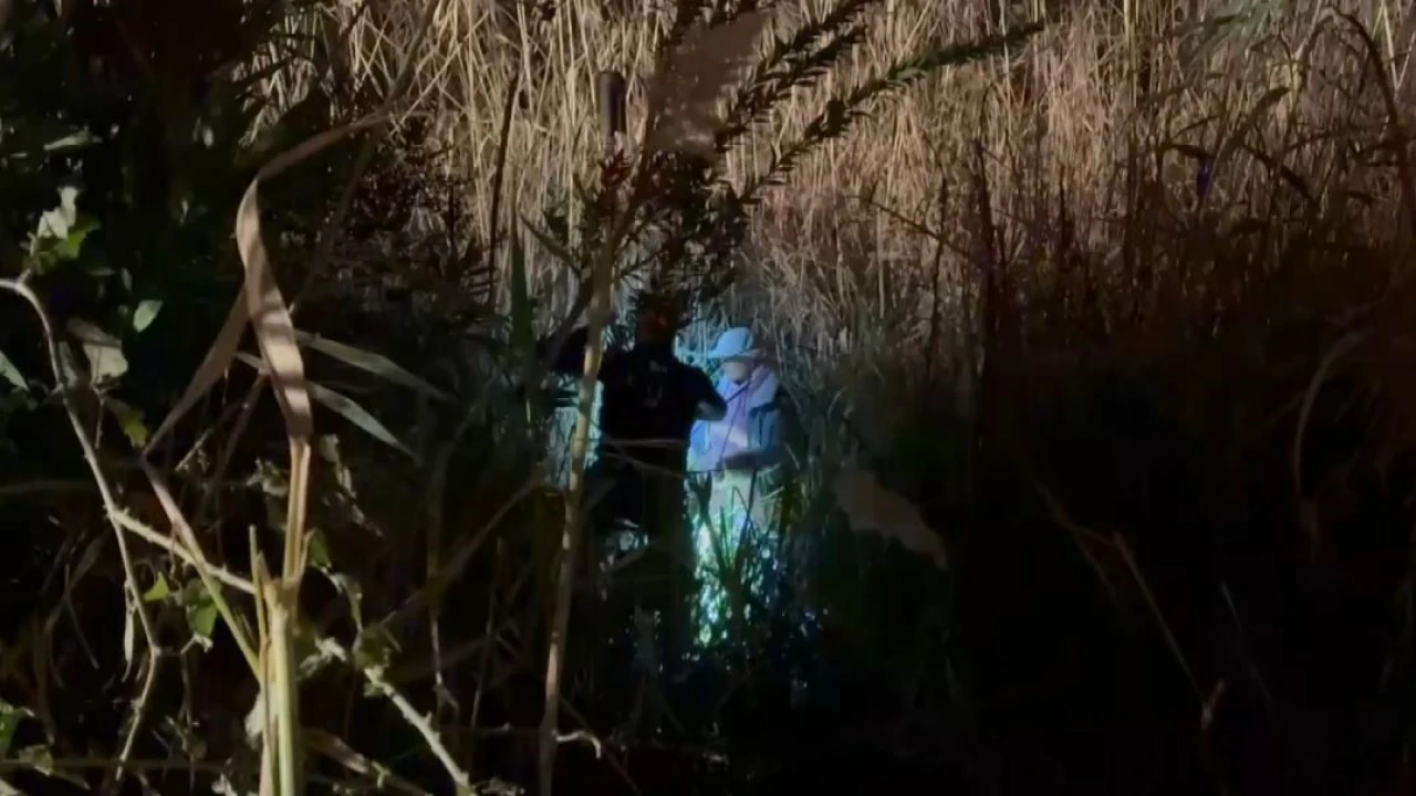 Çayda bataklığa saplanan kadın, vincin halatıyla kurtarıldı