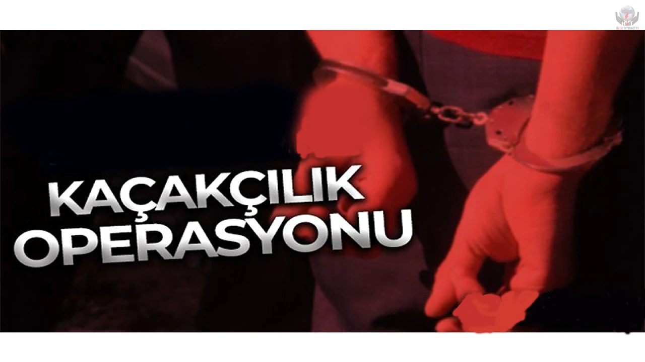 Hatayda Jandarmadan uyuşturucu ve kaçakçılık operasyonu; 25 gözaltı