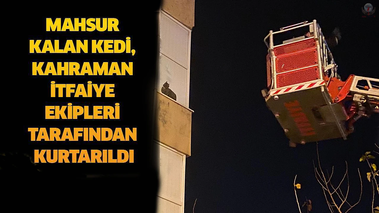 İskenderunda balkonda mahsur kalan kediyi itfaiye kurtardı