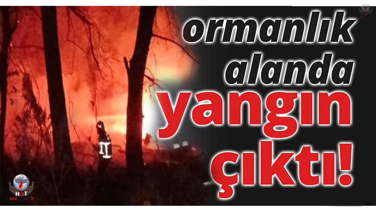 Kırıkhan’da ormanlık alanda yangın çıktı