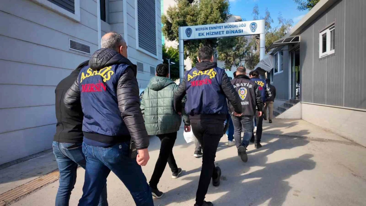 Mersinde sazan sarmalı operasyonu: 7 şüpheli tutuklandı