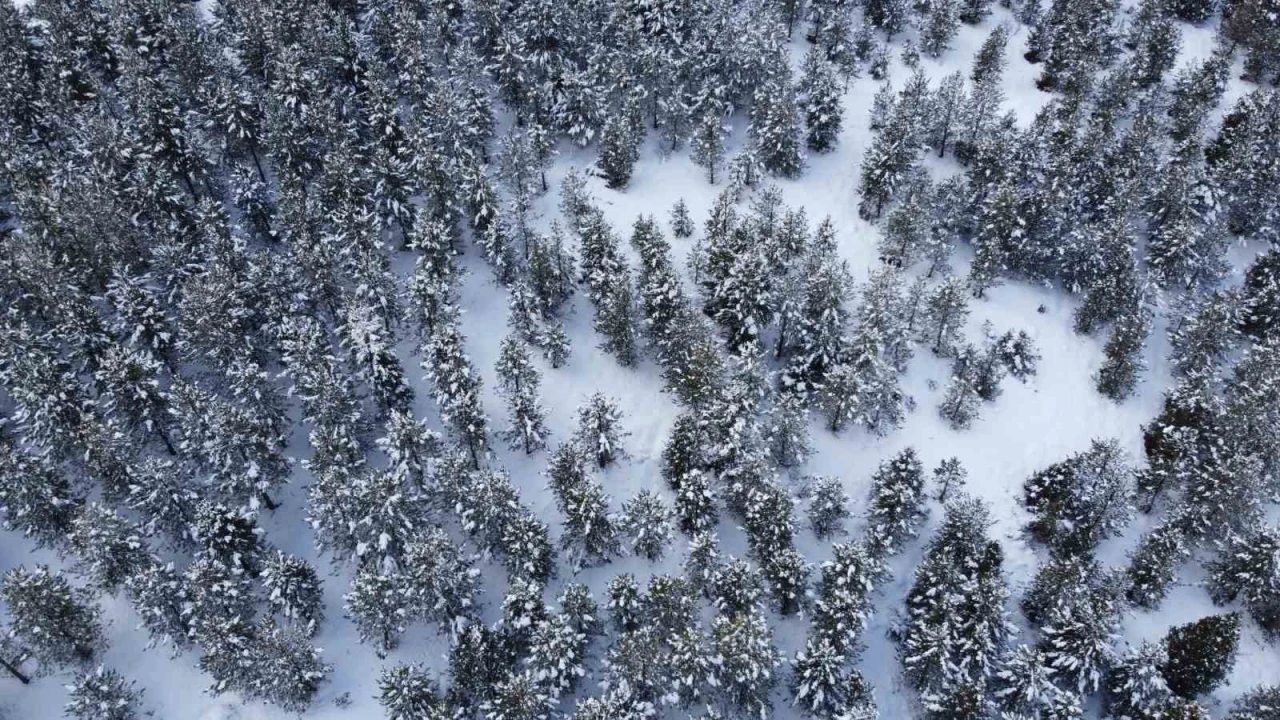 Adanada kar yolları kapattı, kartpostallık görüntü oluşturdu