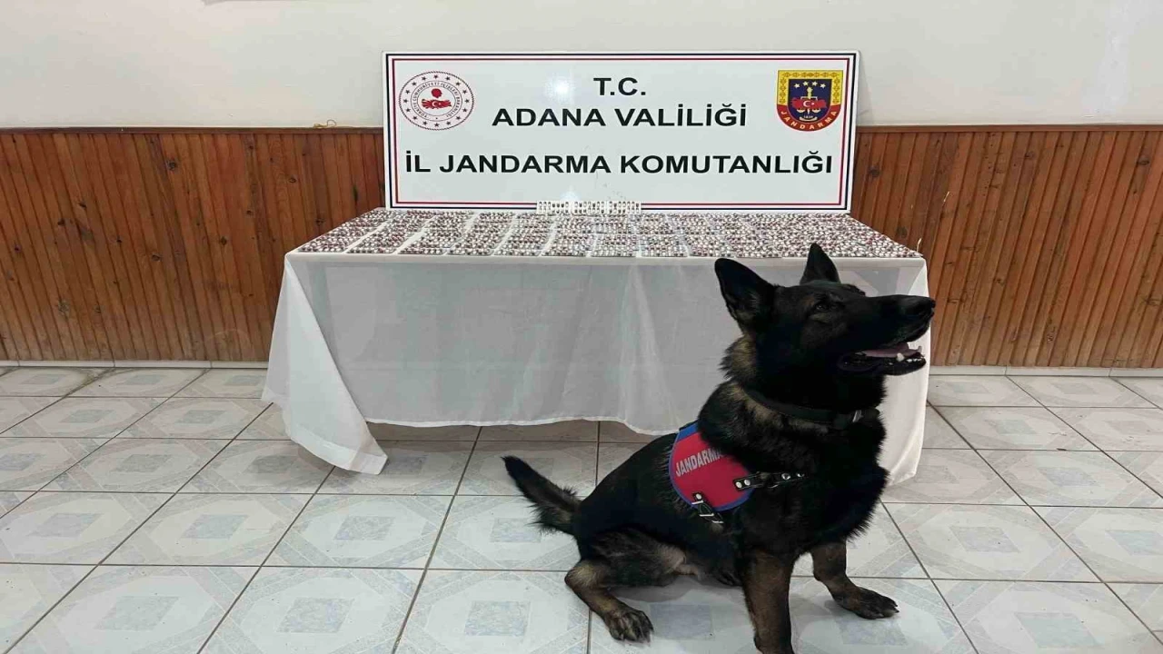 Adanada uyuşturucu operasyonunda 1680 hap ele geçirildi