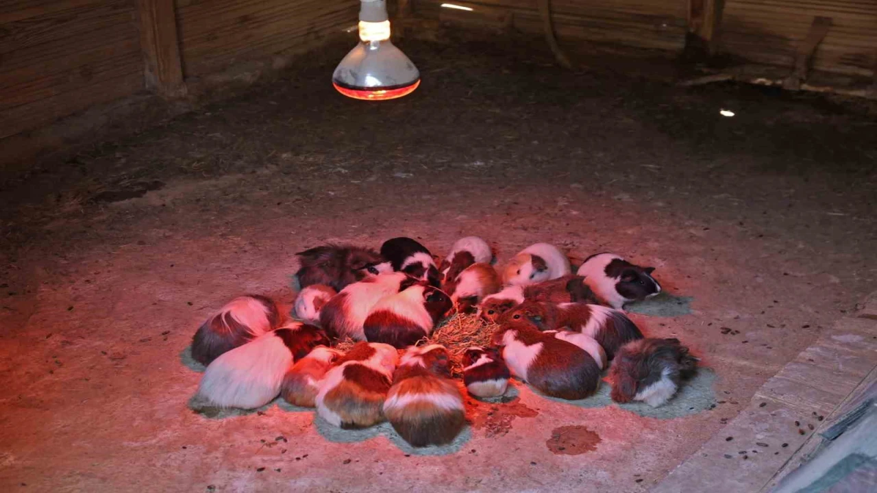 Antalya Doğal Yaşam Parkında soğuk hava önlemi