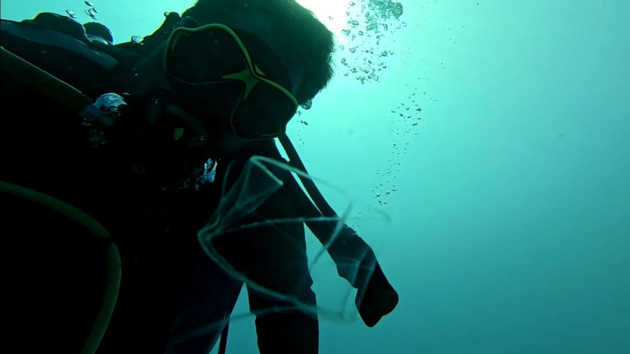 Antalya Körfezinde ilk kez görüntülere yansıdı: Sadece berrak suda görülebiliyor