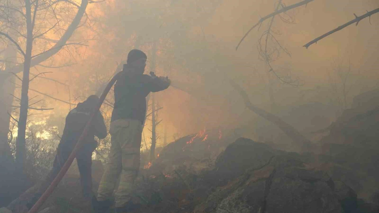Antalyada kopan yüksek gerilim hattı orman yangınına neden oldu