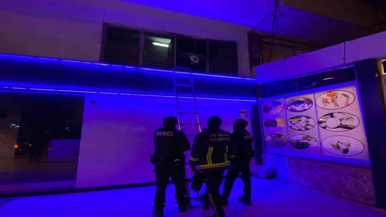 Bankada mahsur kalan kedi ekipleri alarma geçirdi