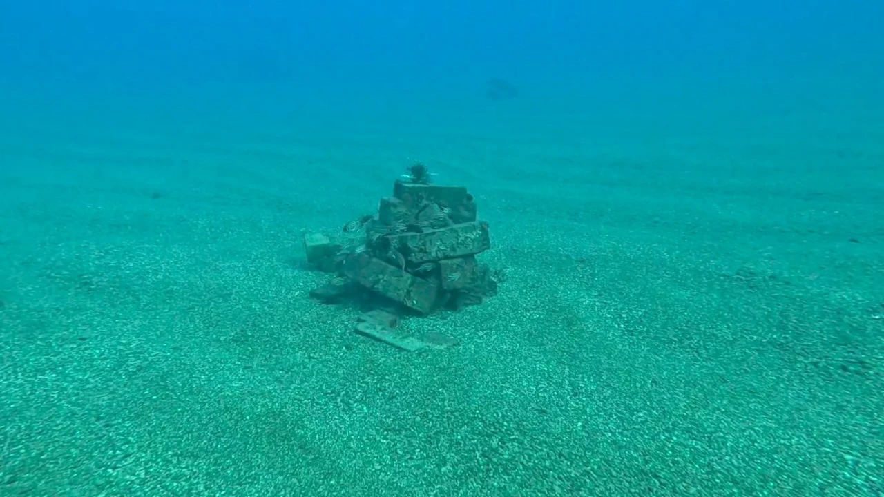 Beton borunun ayakları denizin altında balıkların yaşam alanı oldu
