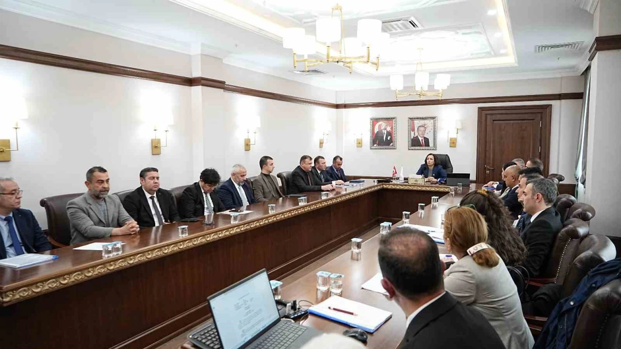 Burdur Valisi Bilgihan: Kısırlaştırılan ve küpelenen hayvanlar artık sokaklara bırakılmayacak