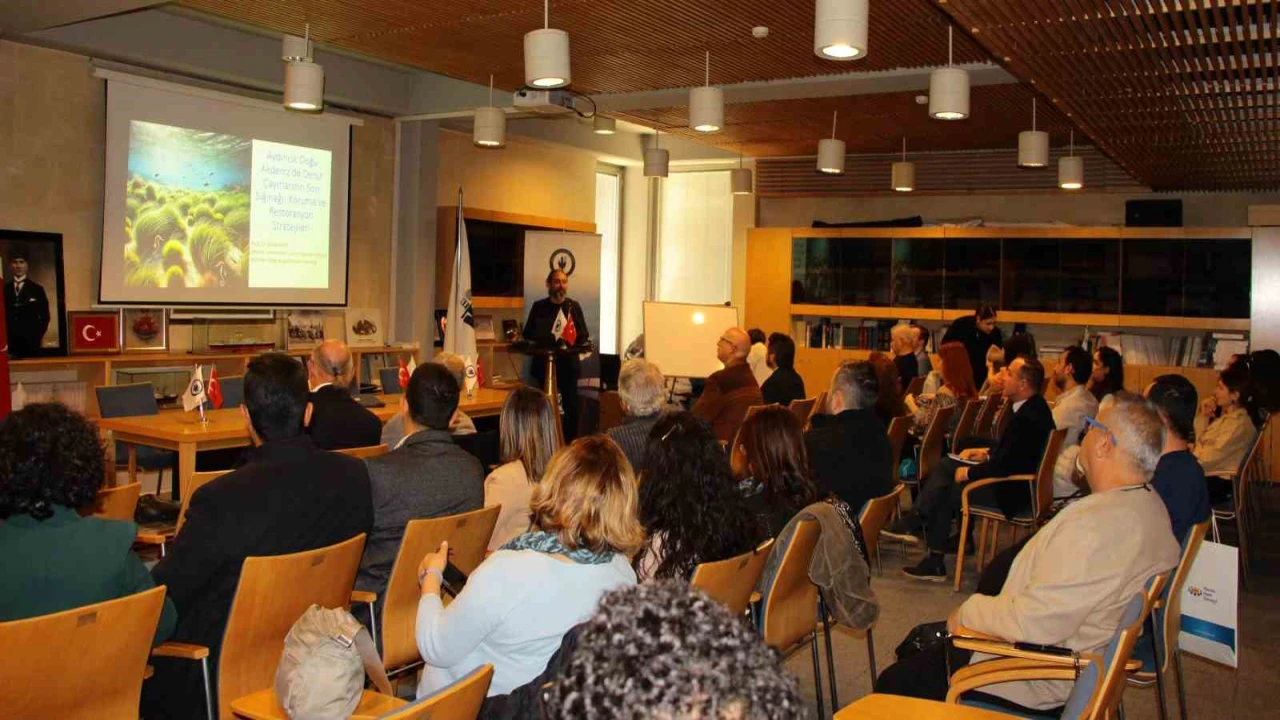 Deniz çayırları tehlikede