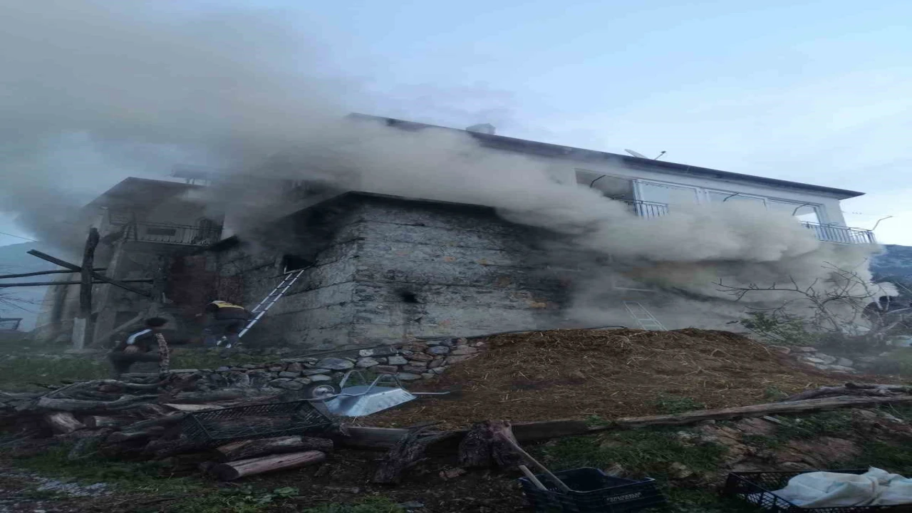 Gazipaşada iki katlı müstakil evde çıkan yangında ahırda bulunan inek ve buzağı telef oldu