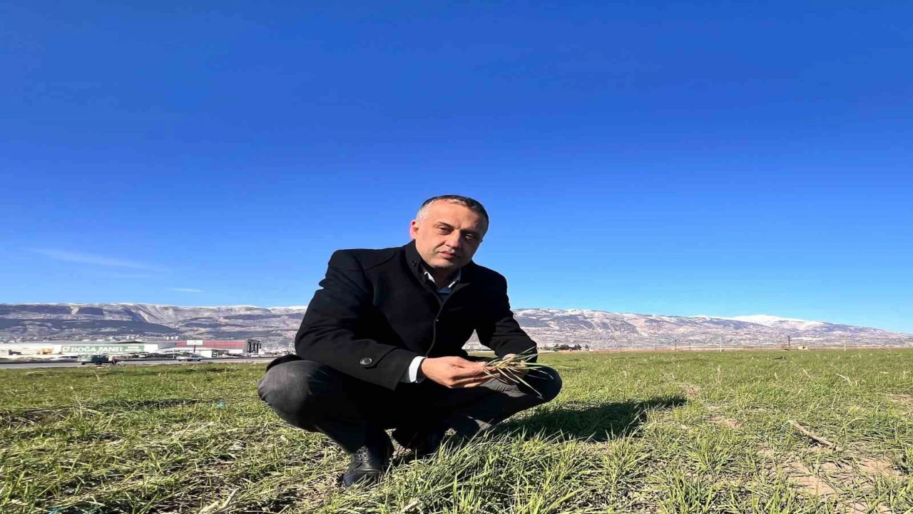 Kahramanmaraşta zirai don alarmı