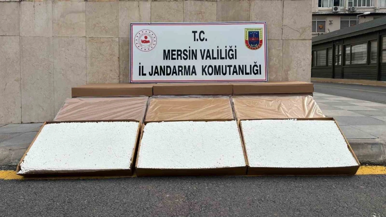 Mersinde 84 bin adet makaron ele geçirildi