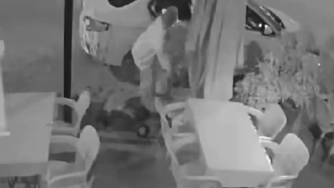 Mersinde ilginç olay: Otomobille gelip çiçeği çaldı