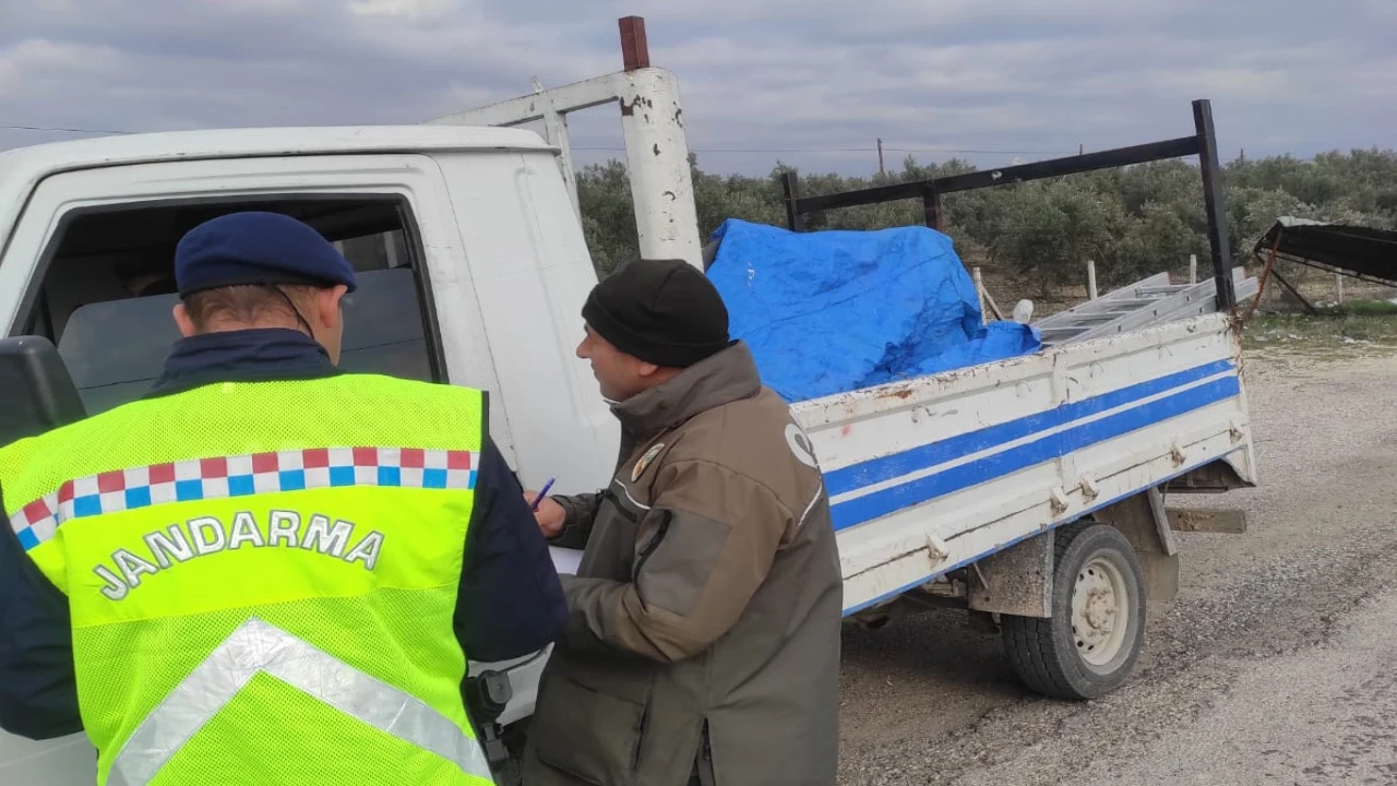 Mersinde ormanlık alanlarda önleme aramaları sürüyor